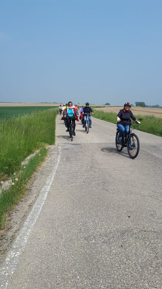Vélo promenade (Juin 2023)