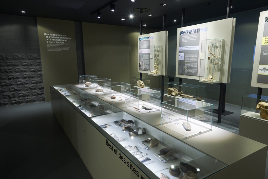 Excursion (2025-03-27) Prehistomuseum - Huy