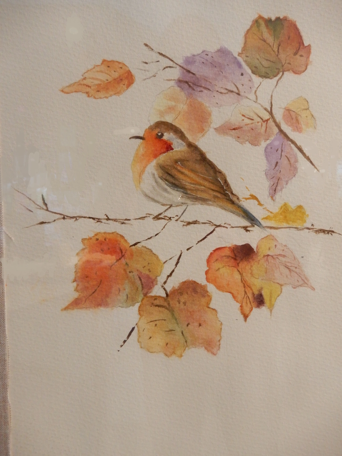 Expo -Atelier Aquarelles- Waremme (2025-05)