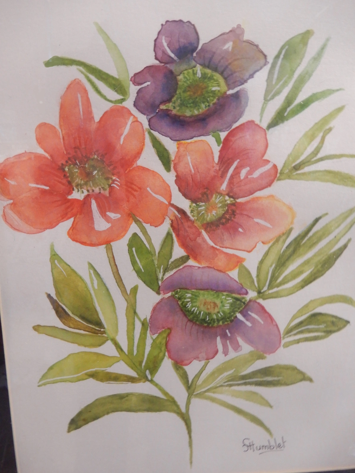 Expo -Atelier Aquarelles- Waremme (2025-05)