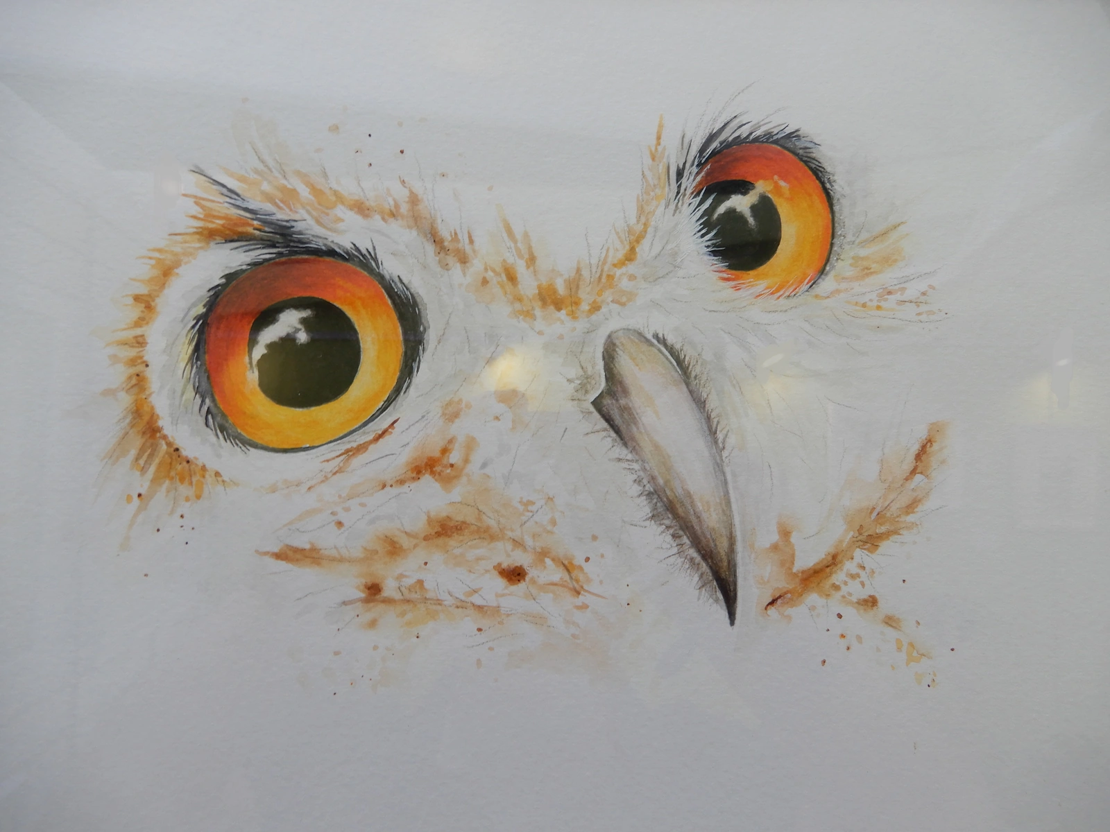 Expo -Atelier Aquarelles- Waremme (2025-05)