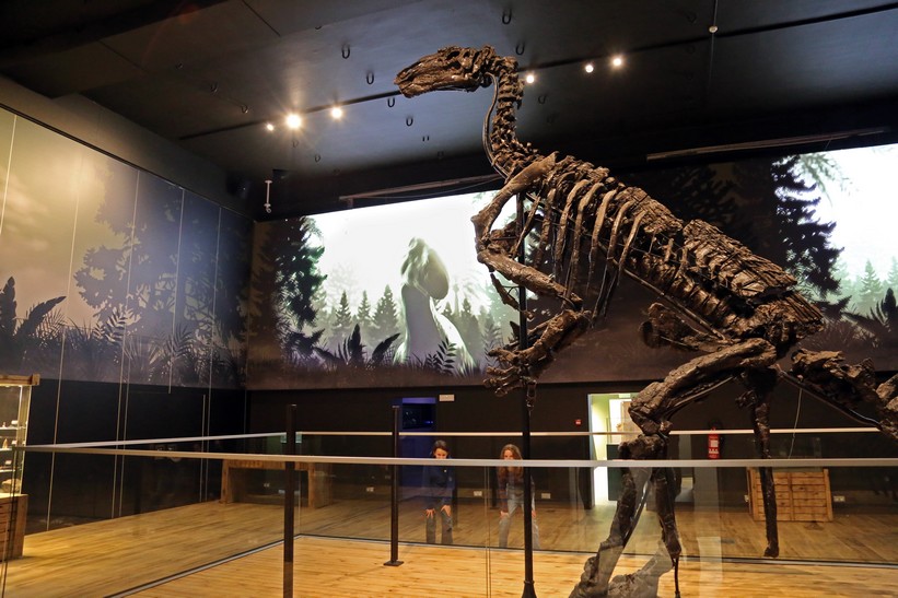Musée Iguanodon (2025-07-31)