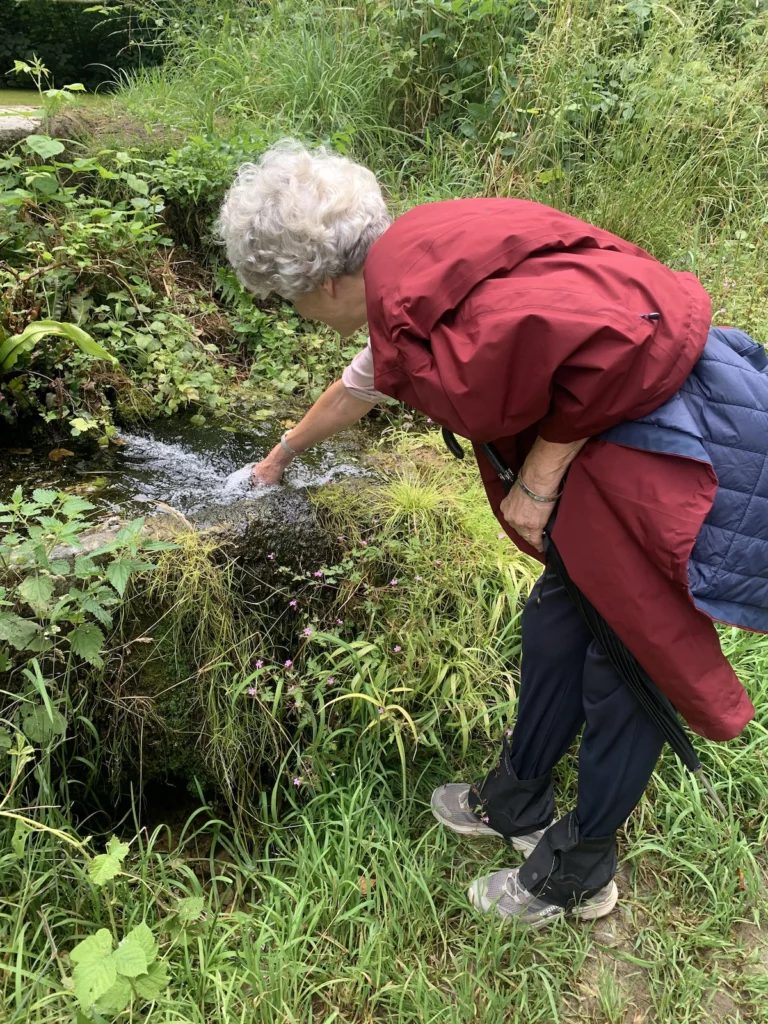 Marche Waremme (2025-07)