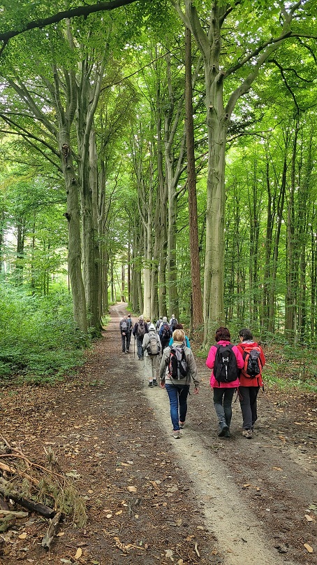 Marche (2025-09) - Meerdael