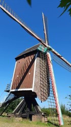 Hageland 2026-06
